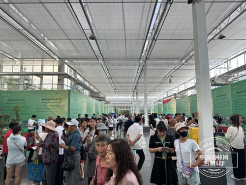 農(nóng)博會之旅 探訪科技小院，體驗(yàn)農(nóng)業(yè)新質(zhì)生產(chǎn)力與教育科技的融合
